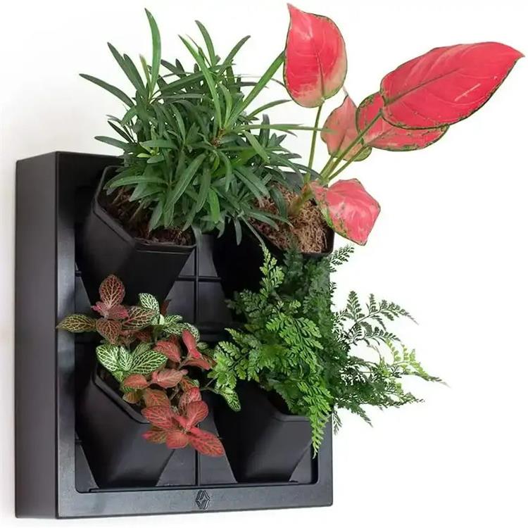Plantador de parede