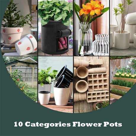 10 Categories Flower Pots-600.jpg