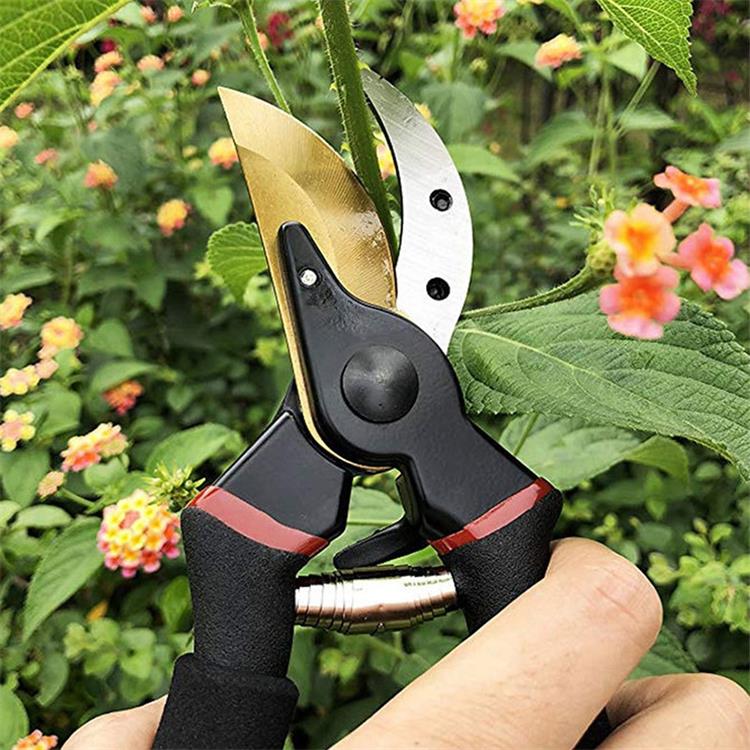 Conjunto de ferramentas de jardim