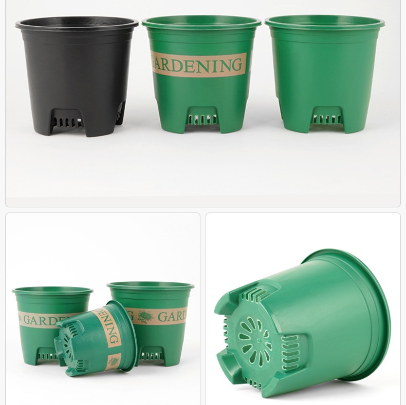 Vasos de controle de raiz de galão