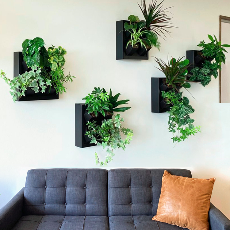 Plantador de parede