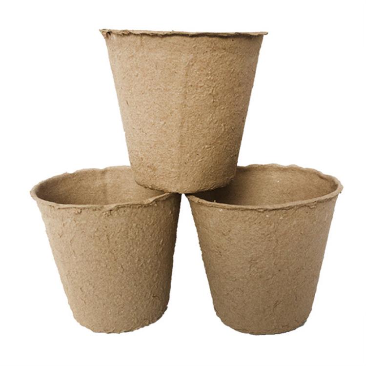 Vasos para cultivo de celulose