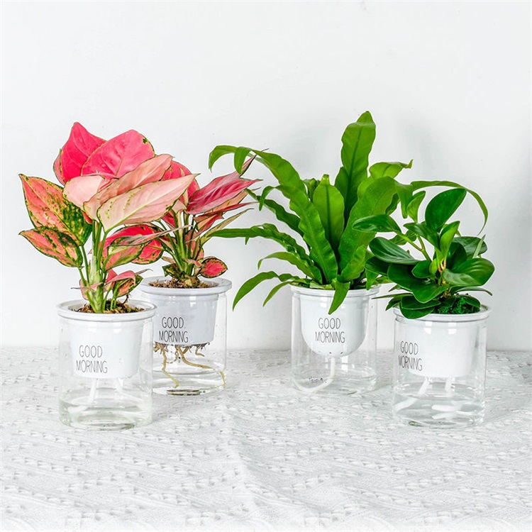 Vasos de flores de plástico simples e modernos
